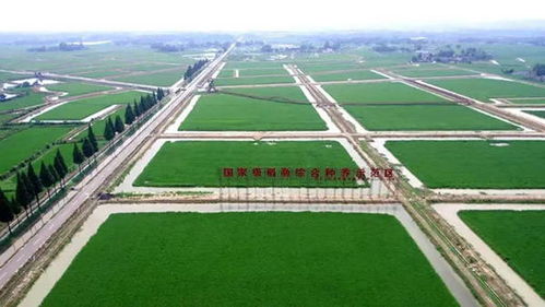 成都邛崃获评首批国家级水产健康养殖和生态养殖示范区