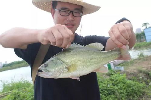 助力渔业转型升级丨浙江欣欣天恩 从水产饲料入手 催化 绿色养殖